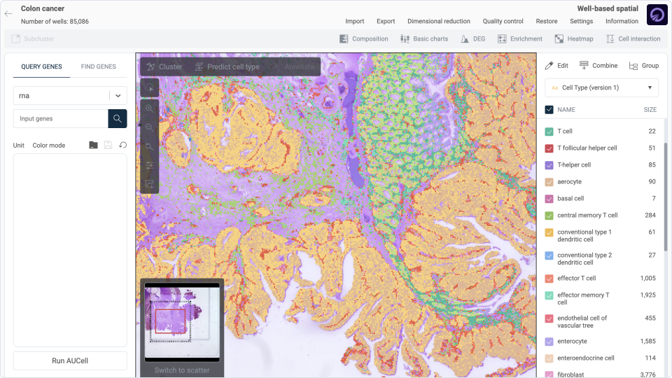 Dive with Visium HD: Uncover Spatial Cell Communication at Single-Cell Clarity with OmnibusX