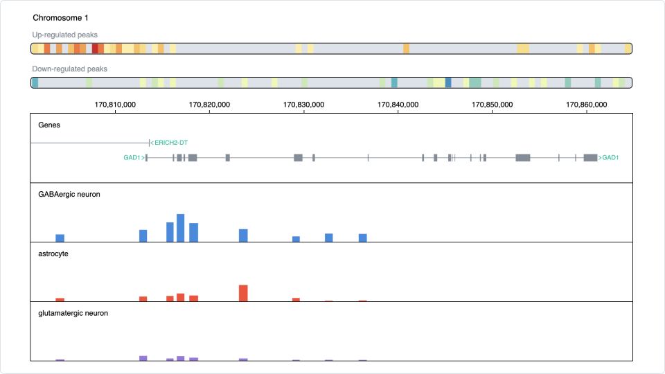 Uncovering Alzheimer’s Chromatin Accessibility: scATAC-seq Data Re-analysis with OmnibusX