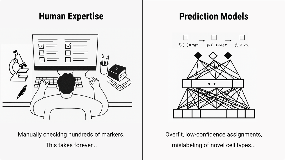 A Synergistic Future: Integrating AI and Human Expertise for Robust Cell Annotation