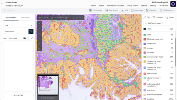 Dive with Visium HD: Uncover Spatial Cell Communication at Single-Cell Clarity with OmnibusX