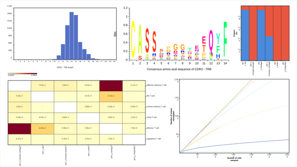 Unveiling clonotype diversity and repertoire overlap in diseased PBMCs through OmnibusX analysis