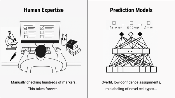 A Synergistic Future: Integrating AI and Human Expertise for Robust Cell Annotation